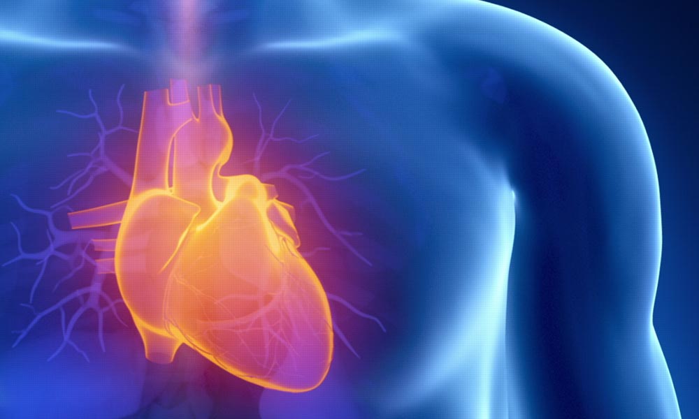 Medical Imaging for Heart Disease |blog article by Catalina Imaging